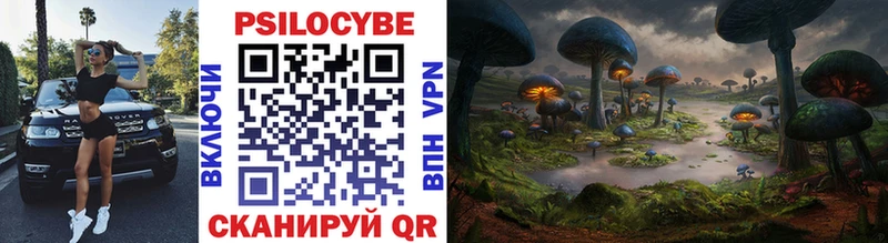 Псилоцибиновые грибы Cubensis  Кодинск 